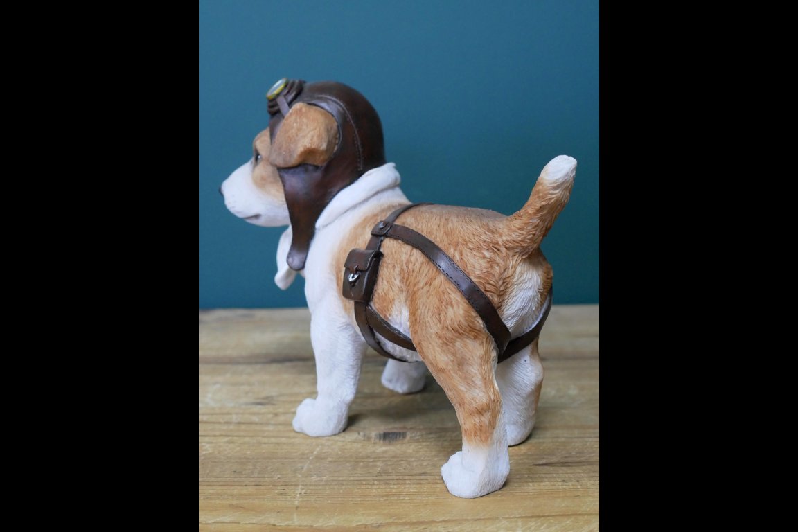 Pilot Dog