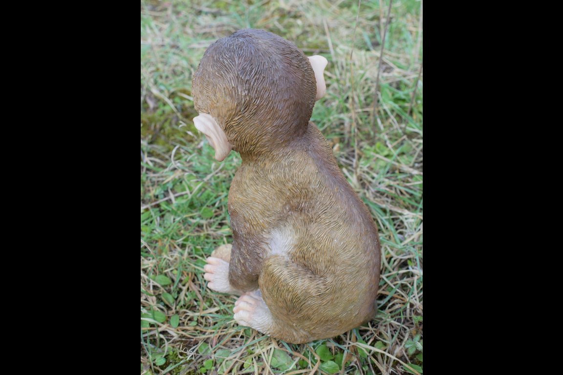 Monkey