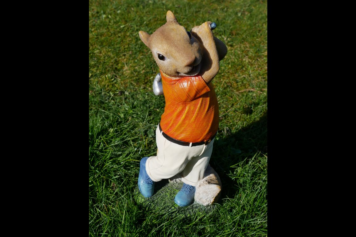 Squirrel Golfer