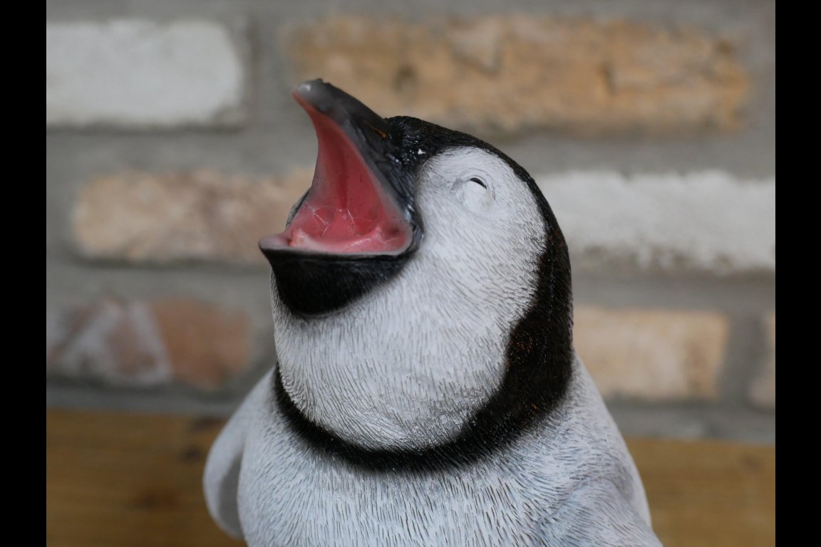 Penguin