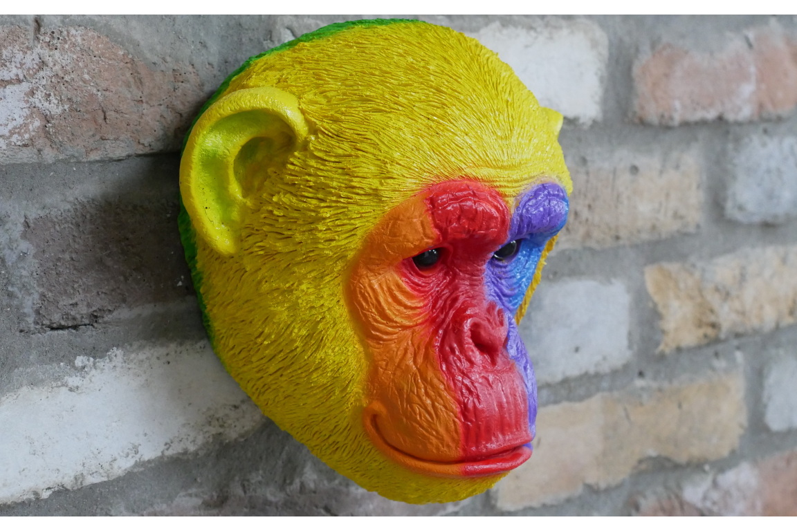 Rainbow Monkey Head