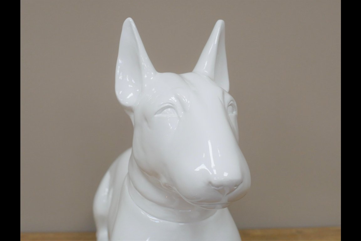 White Dog