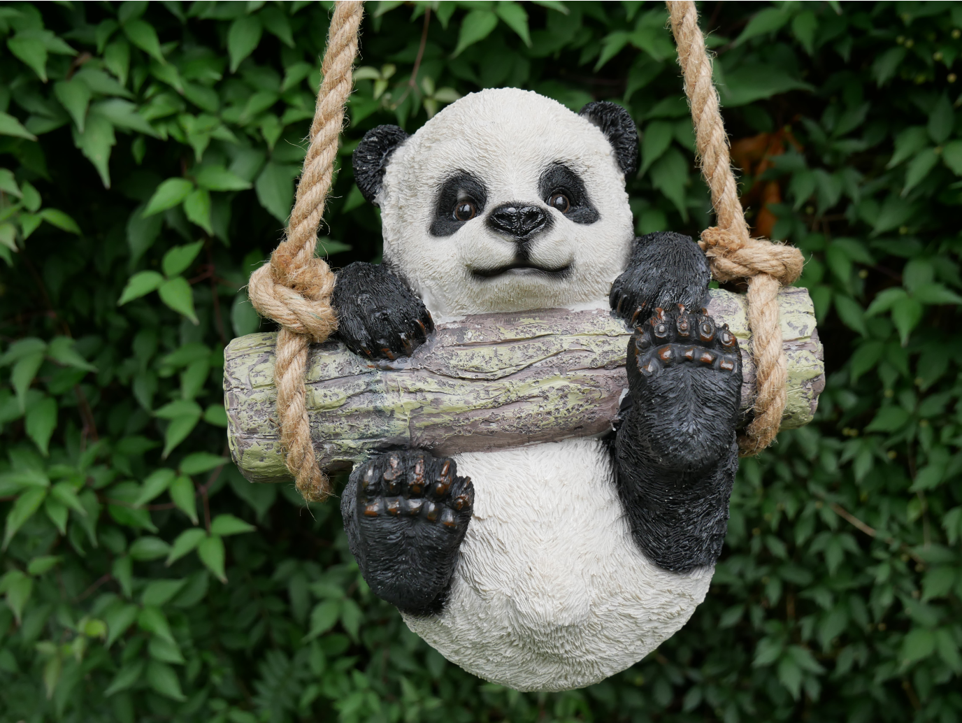 Hanging Panda