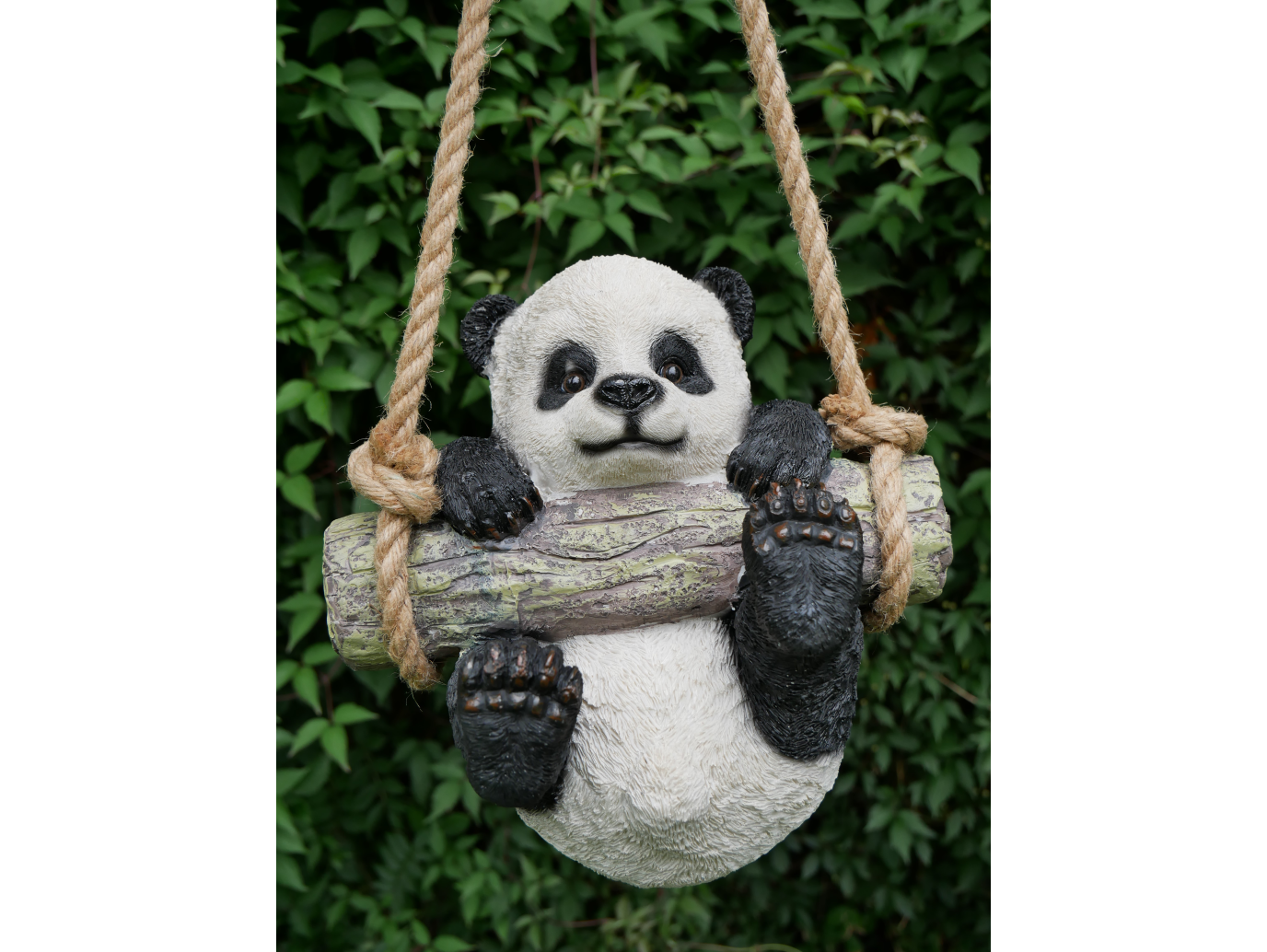 Hanging Panda