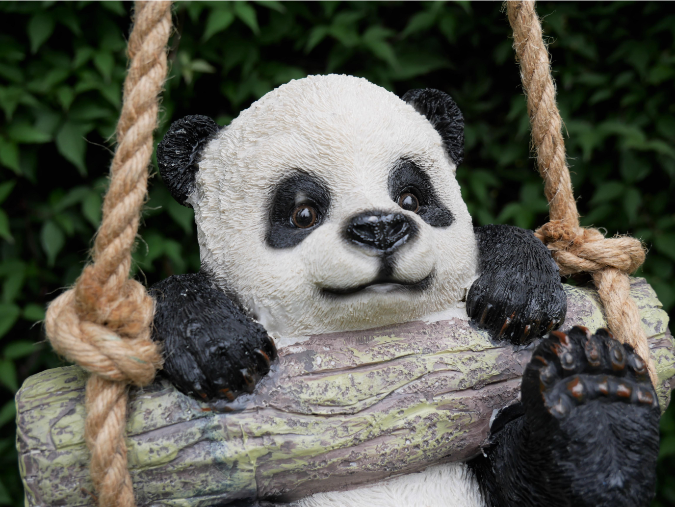 Hanging Panda