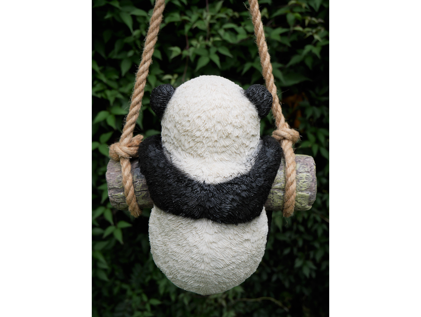 Hanging Panda