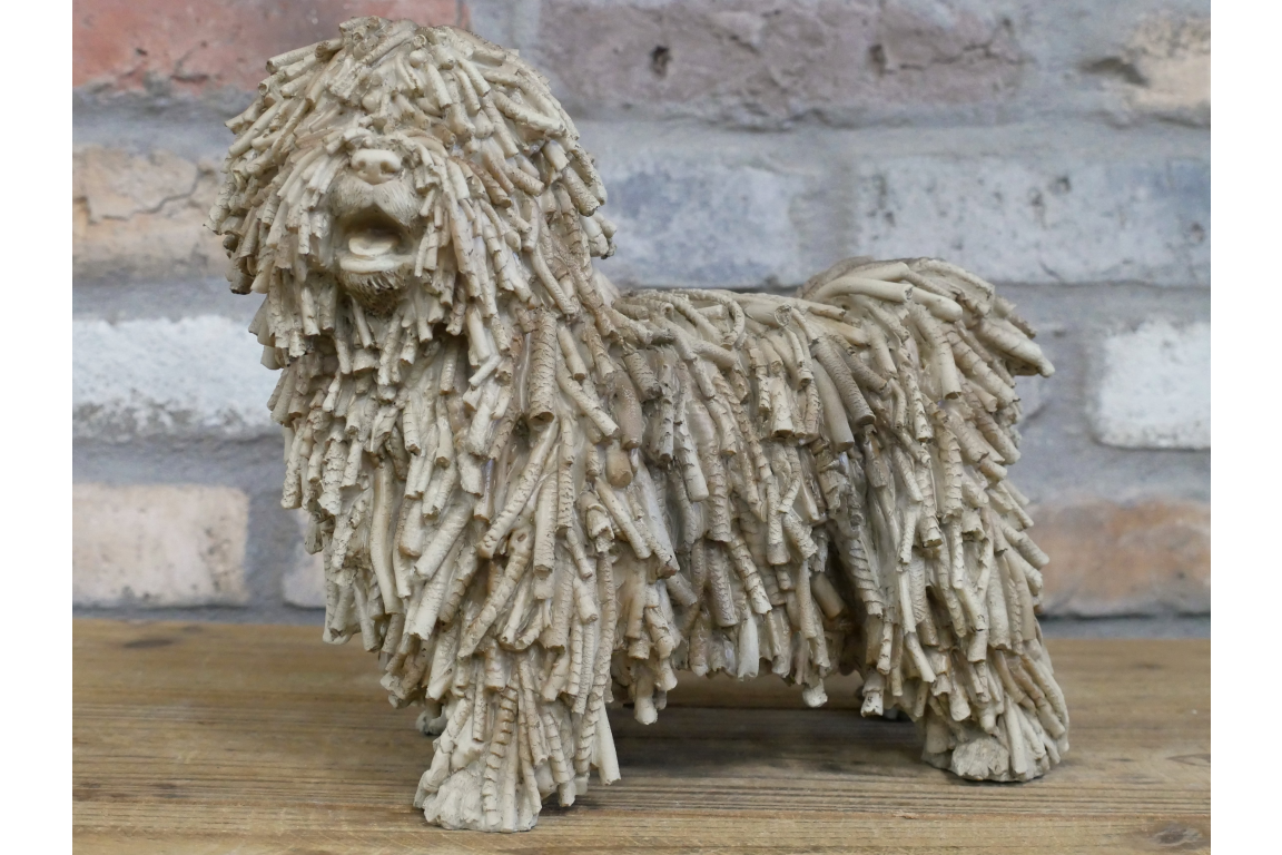 Shaggy Dog