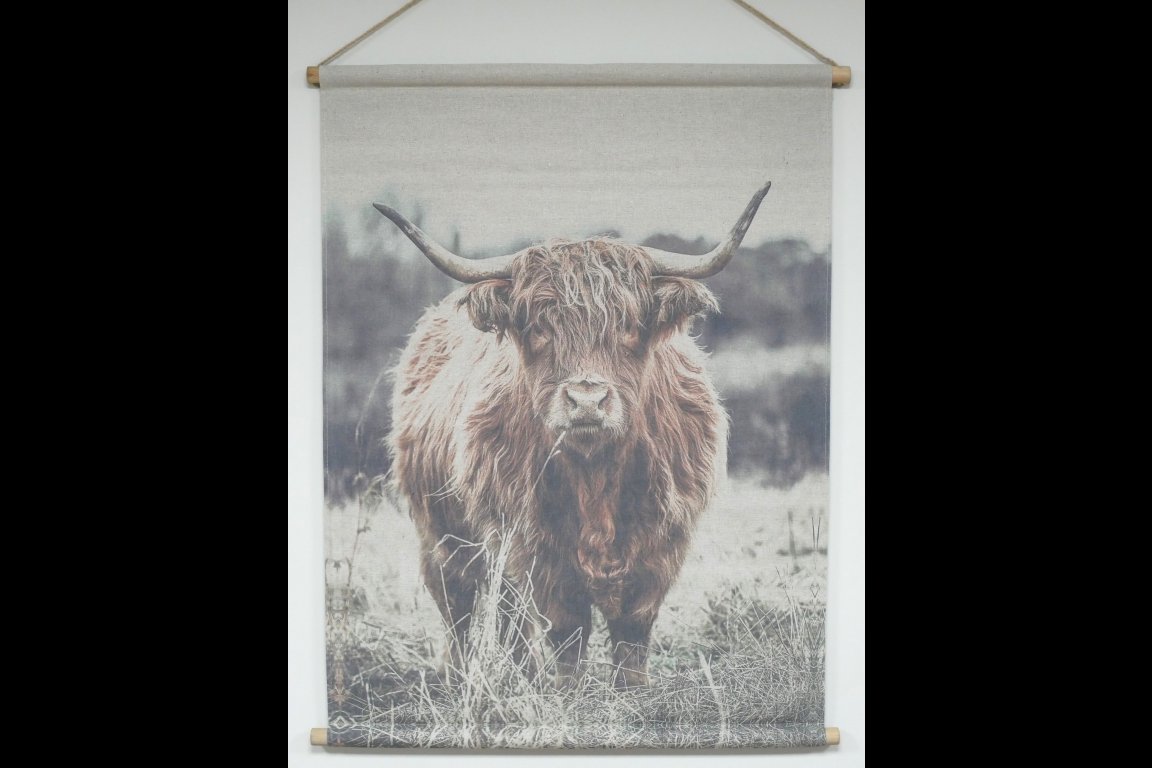 Wall Art - Highland Cow