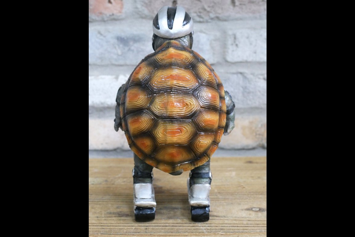 Speedy Tortoise