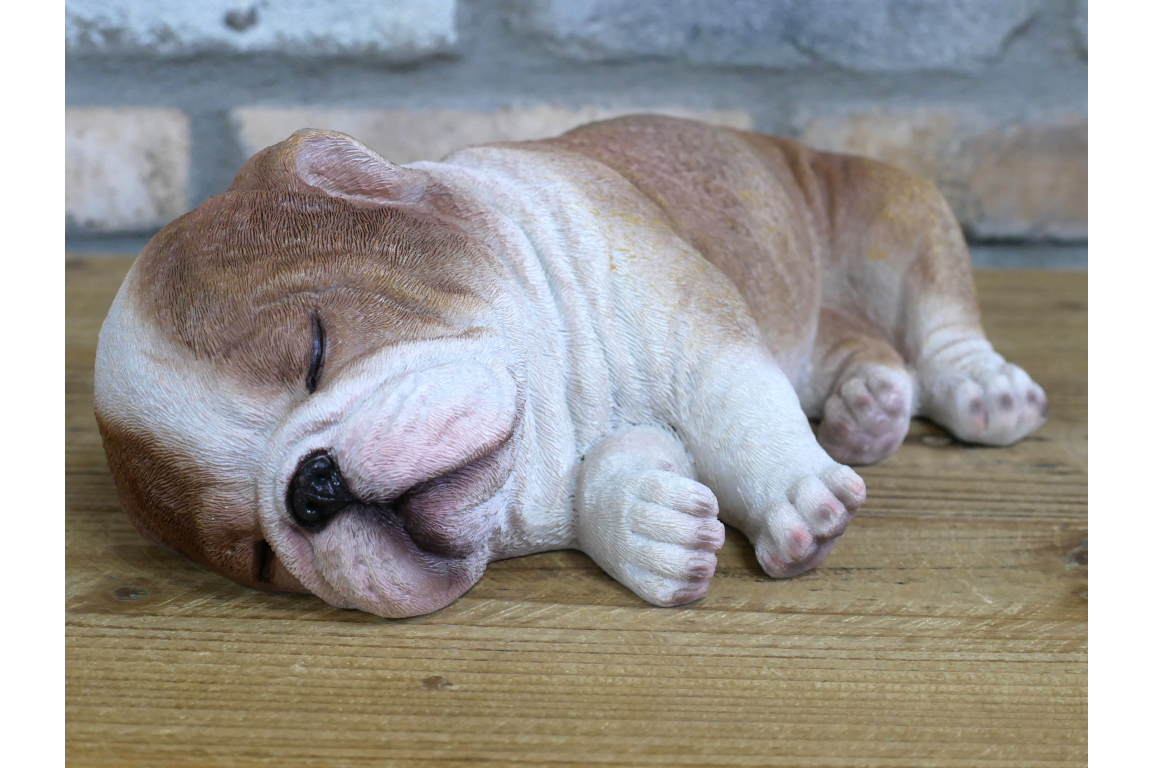 Sleeping Bulldog