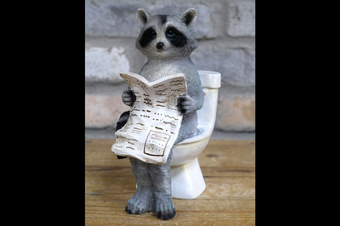Racoon On The Loo