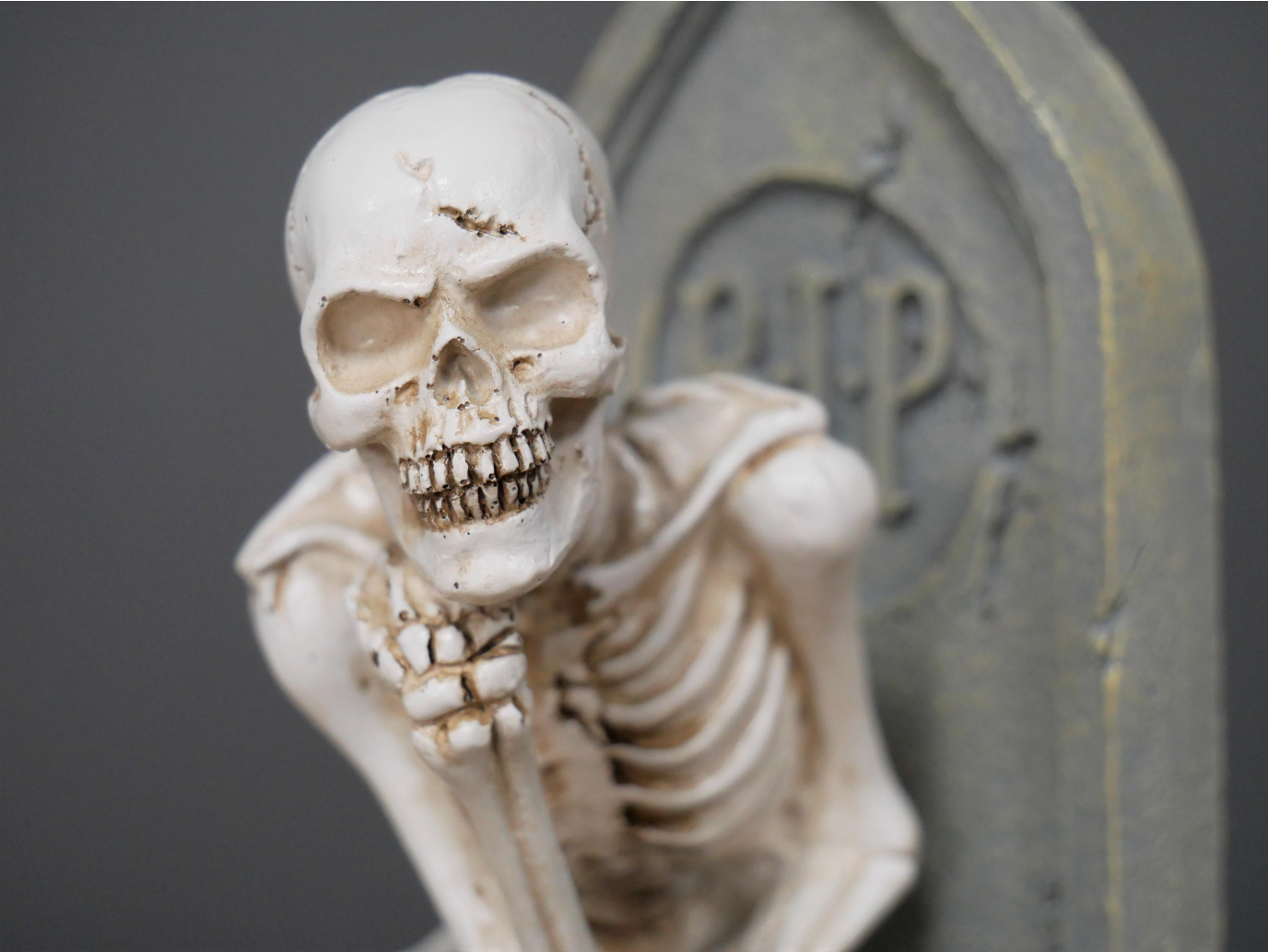 Skeleton On The Loo