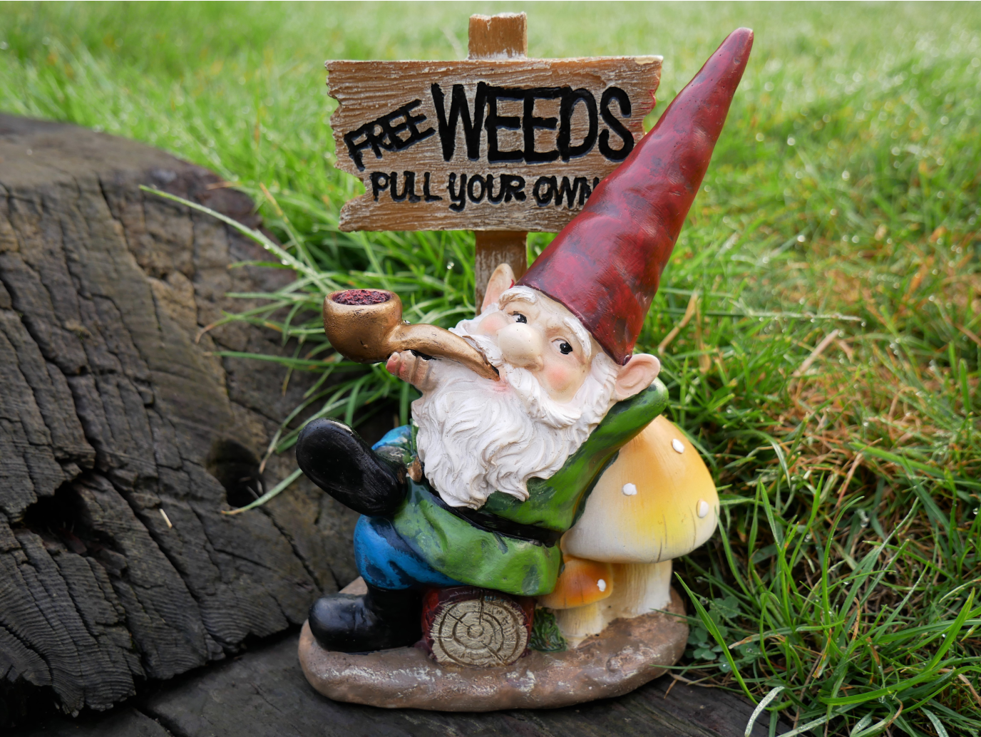 Gnome (Pull Your Own)