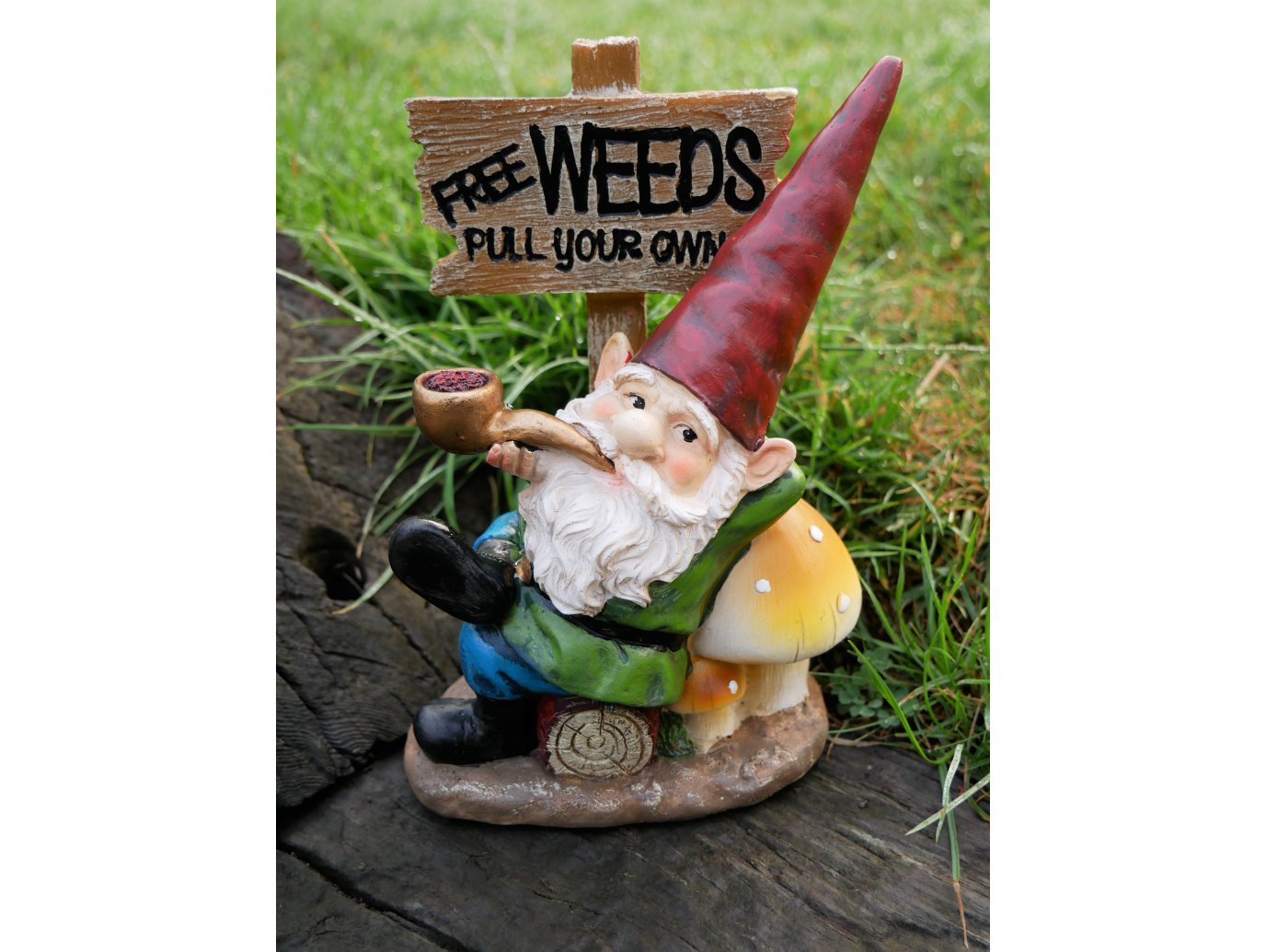 Gnome (Pull Your Own)