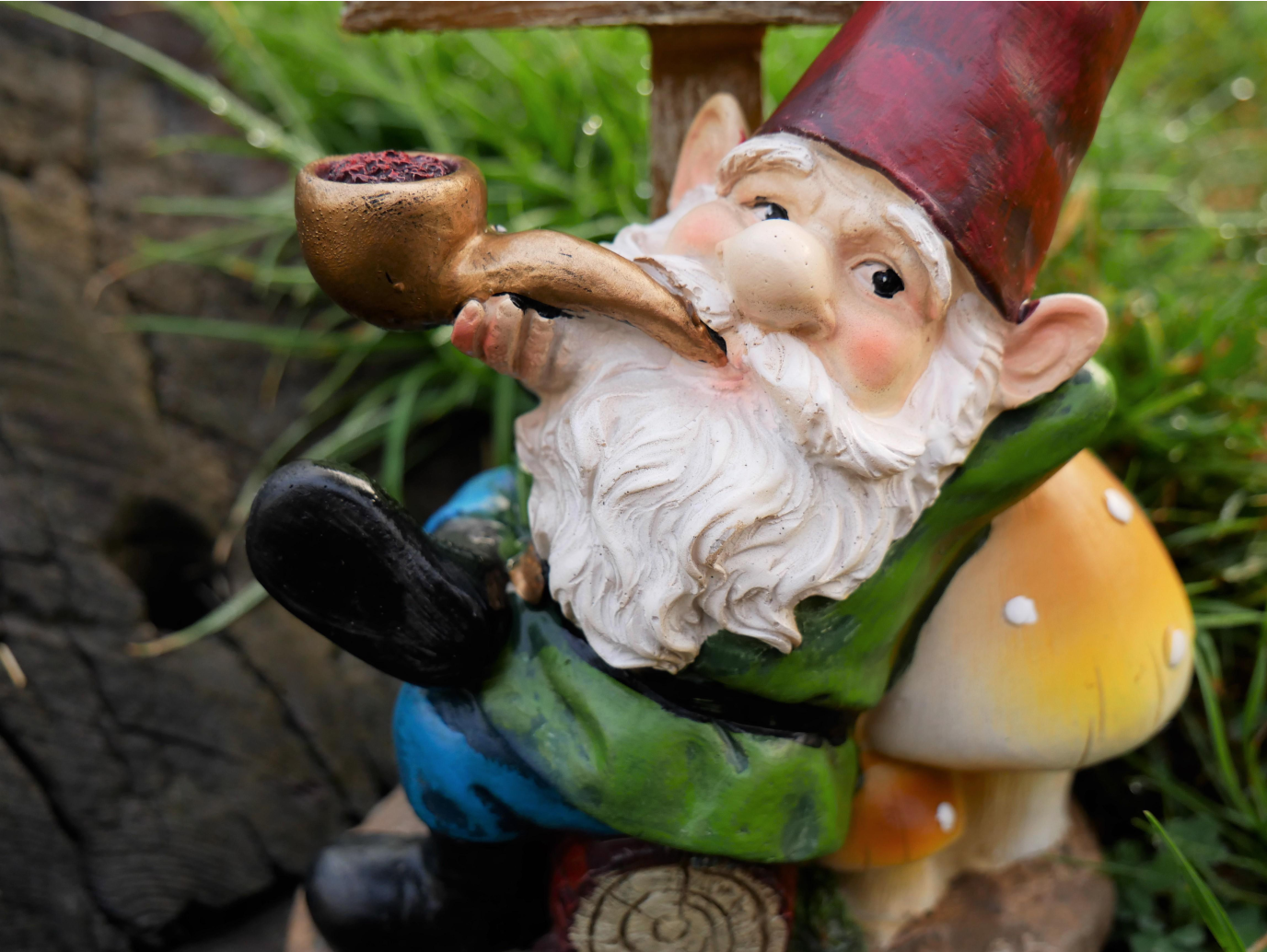 Gnome (Pull Your Own)