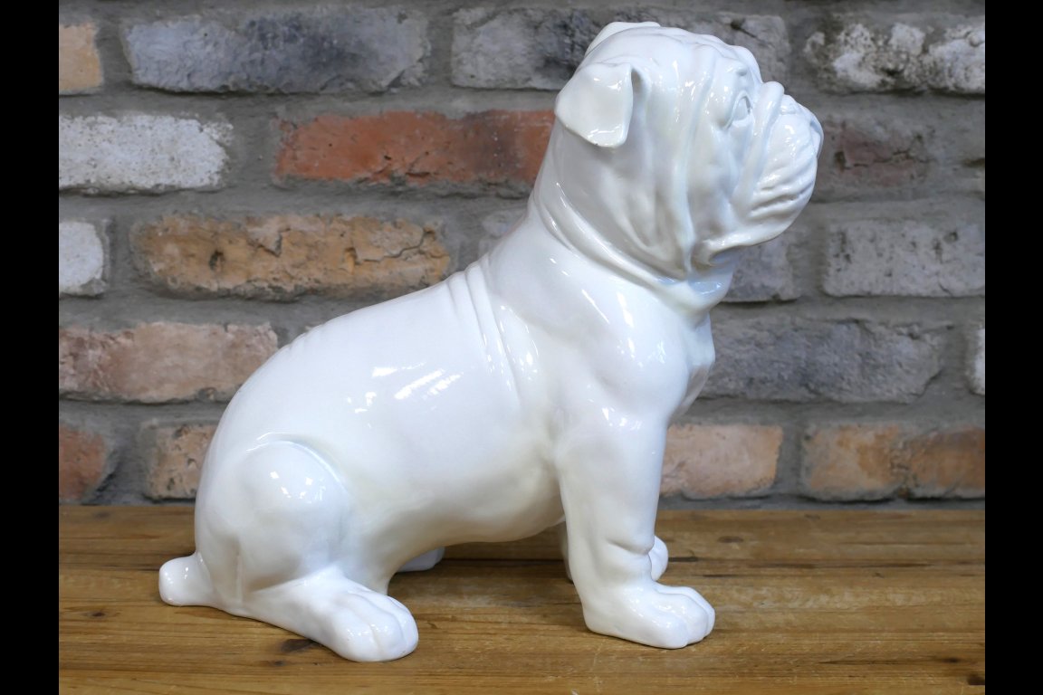 White Bulldog