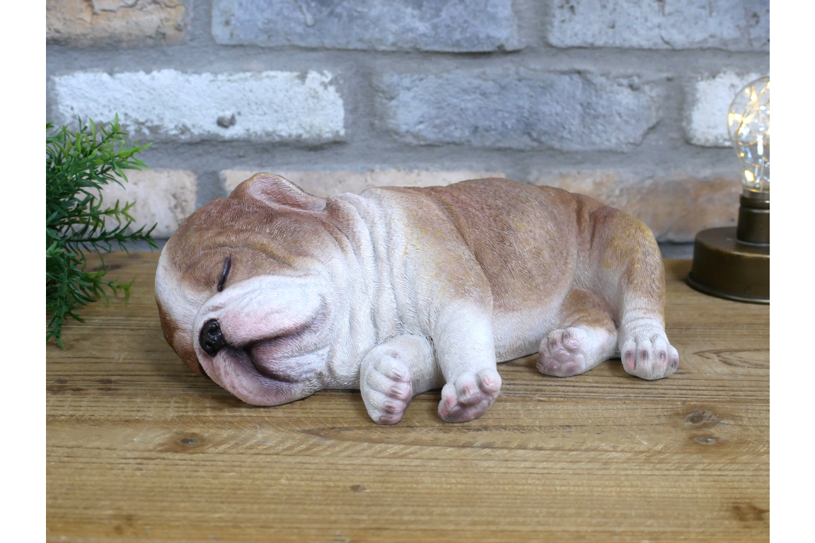 Sleeping Bulldog