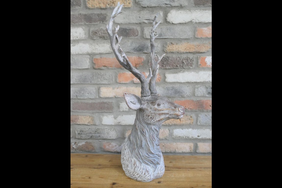 Stag Head