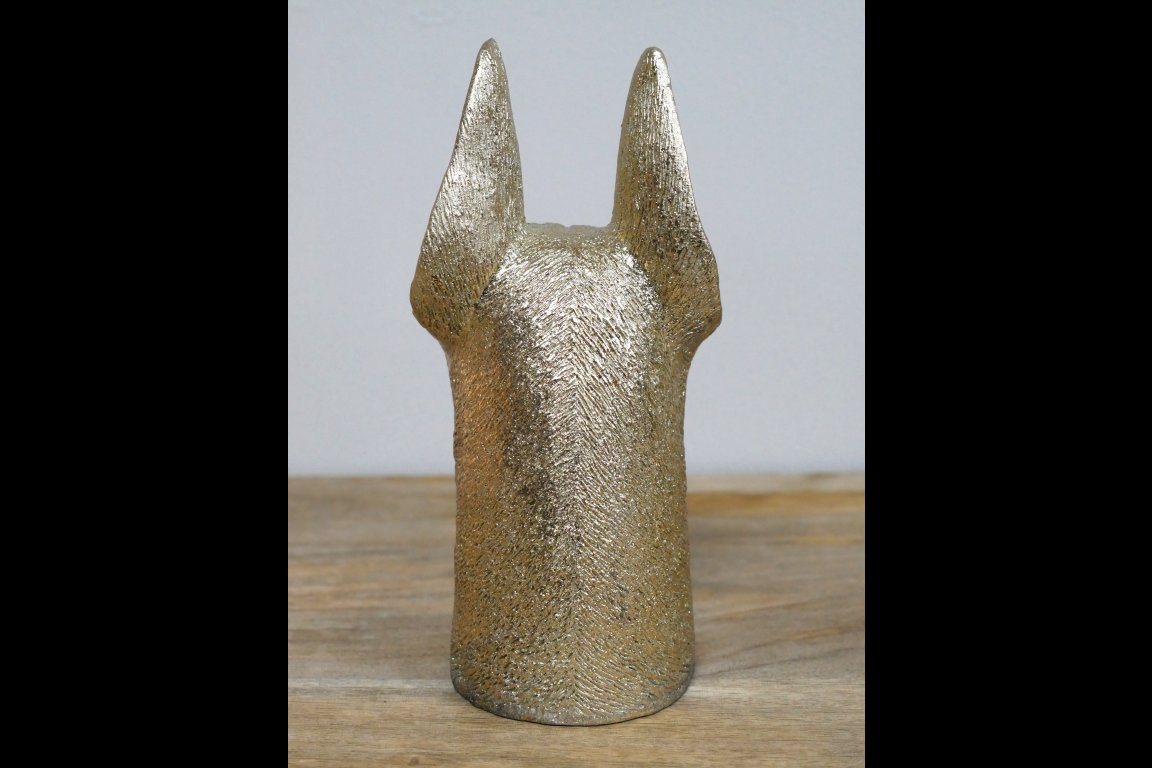 Dog Head