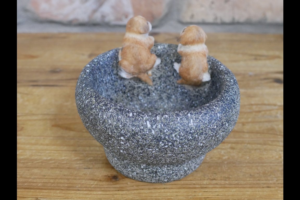 Small Dog Trough