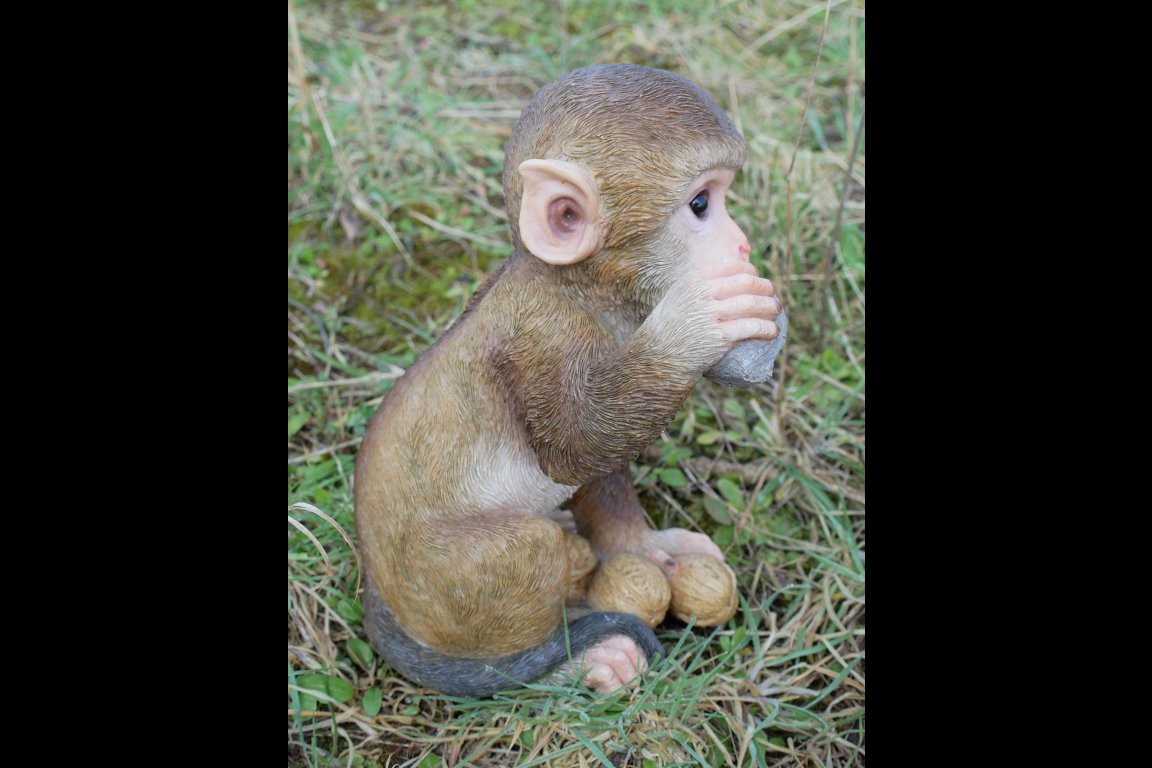 Monkey