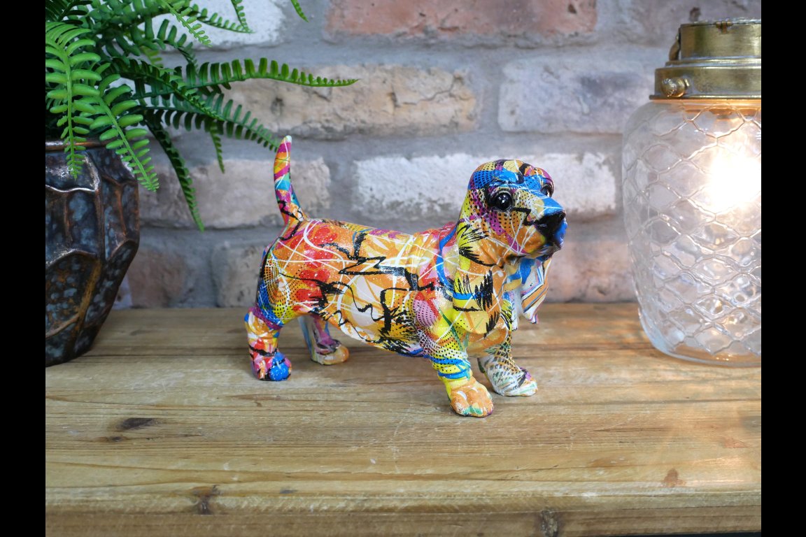 Bassett Hound