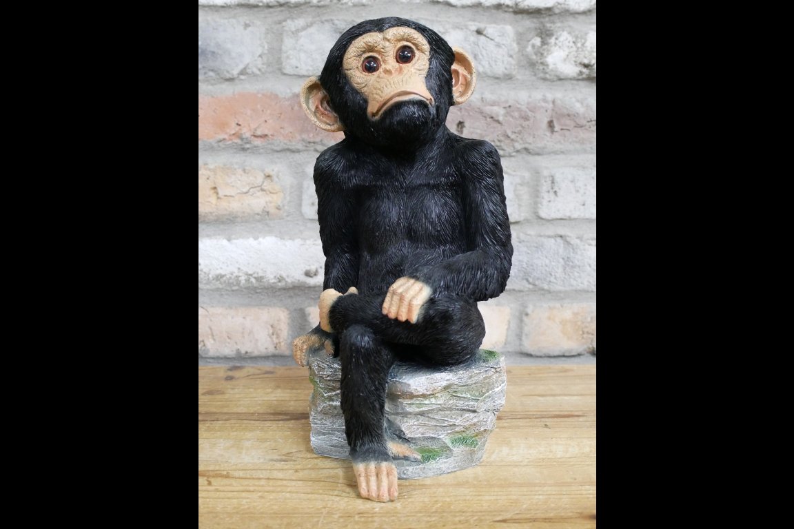 Monkey Sat On Rocks