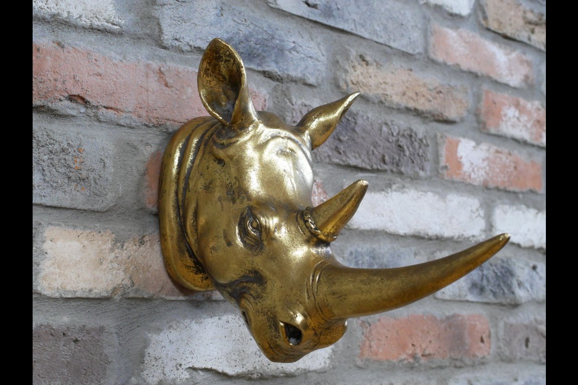 Rhino Head