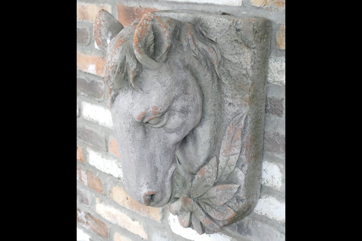 Horse Head