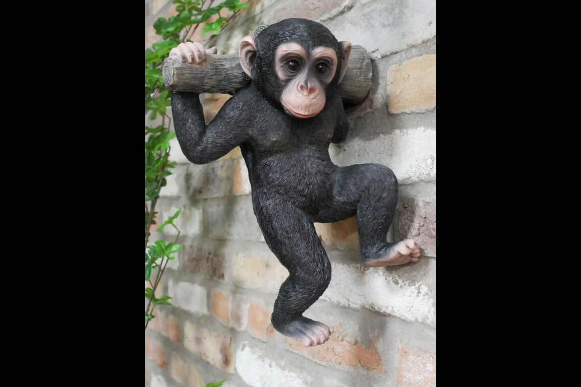 Monkey Hanging On A Branch