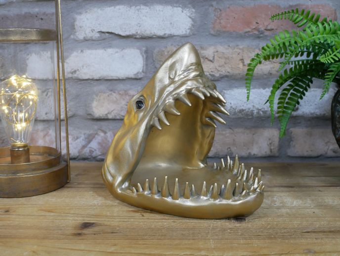 Shark Dish