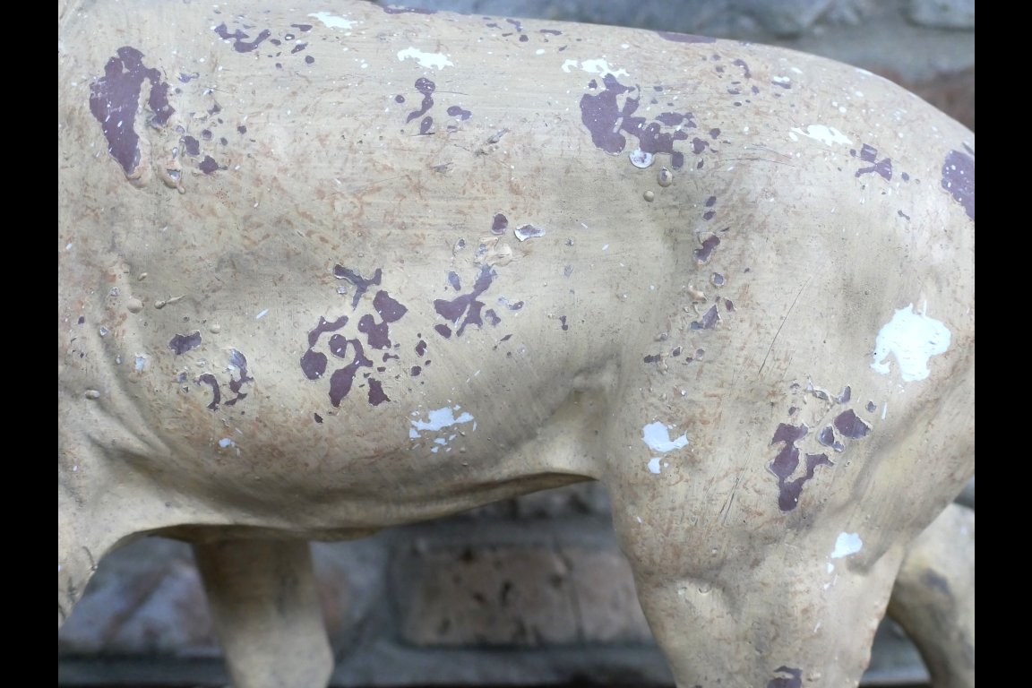 Rustic Lion