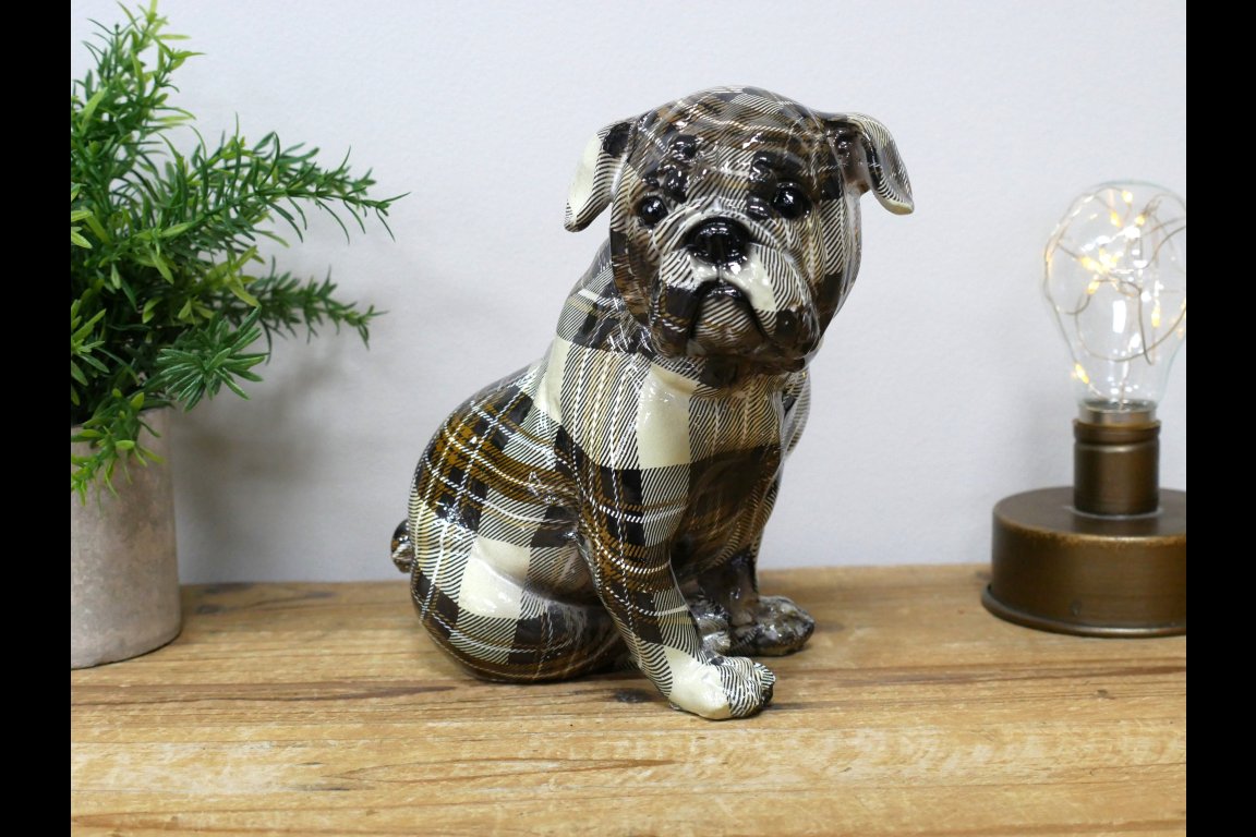 Tartan Dog