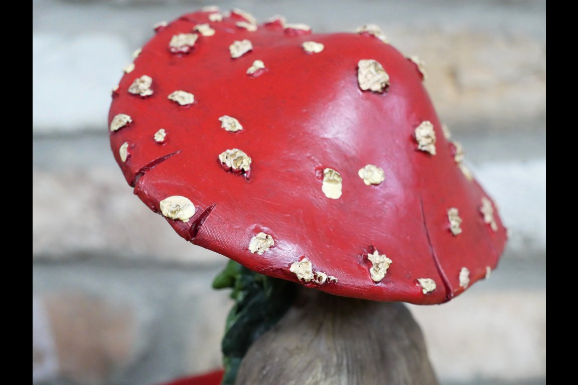 Mushroom Man