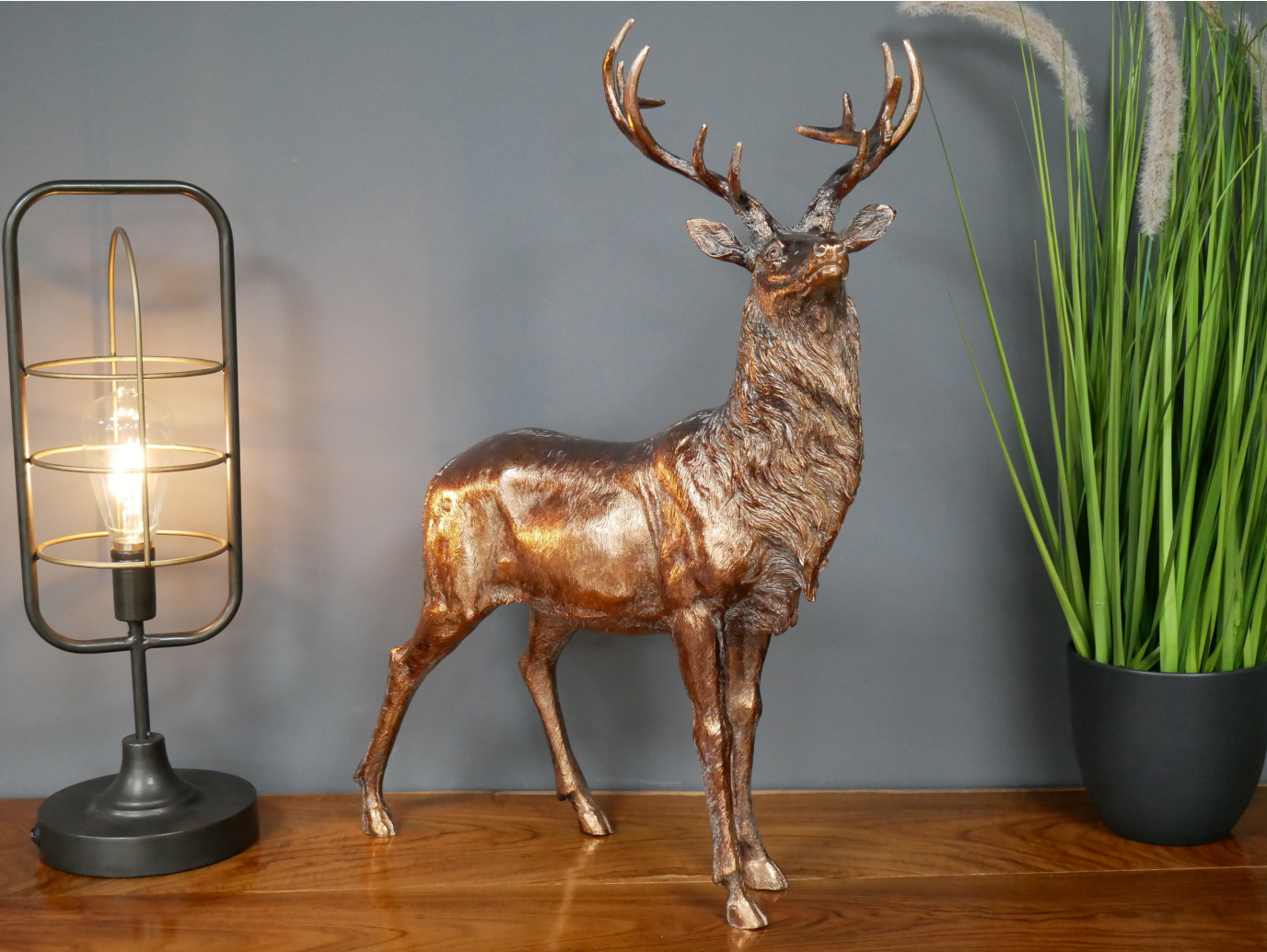 Stag