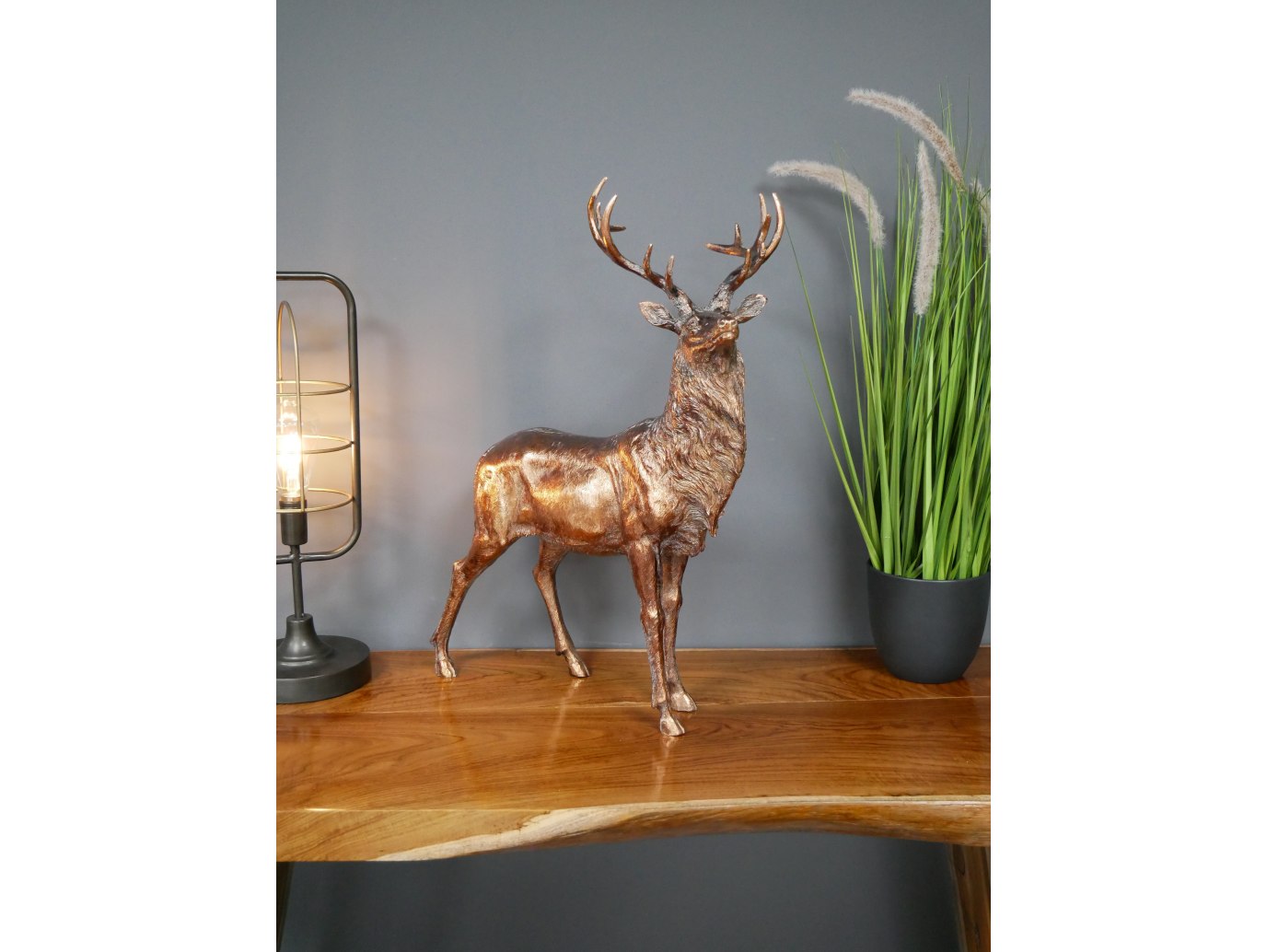 Stag