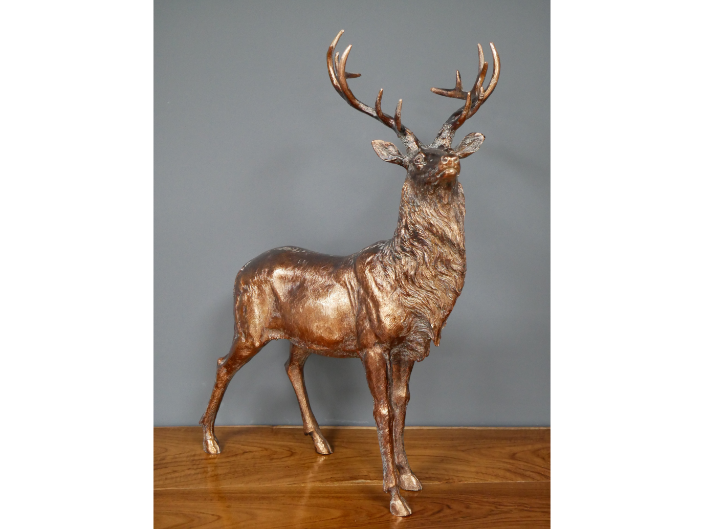 Stag