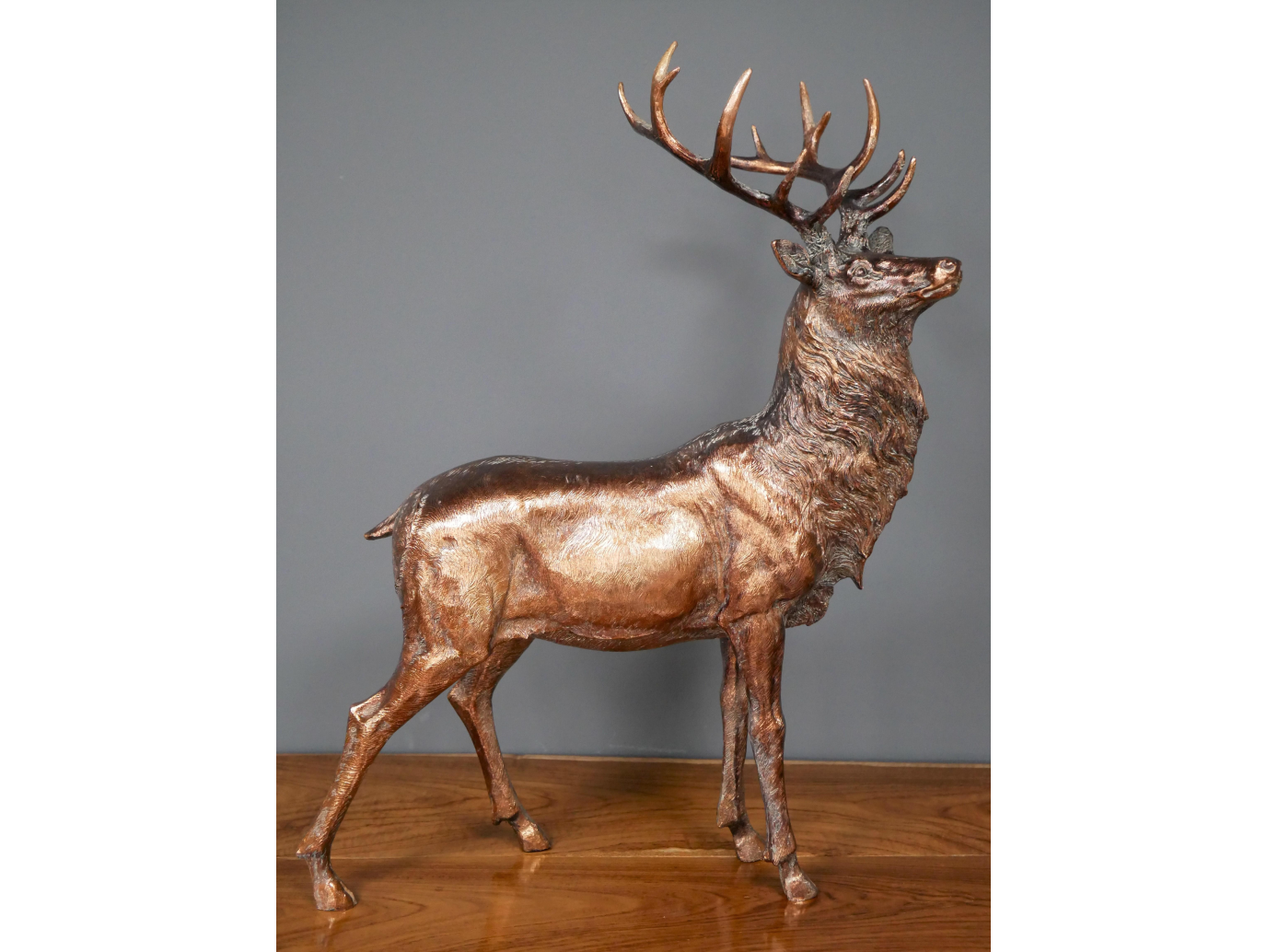 Stag