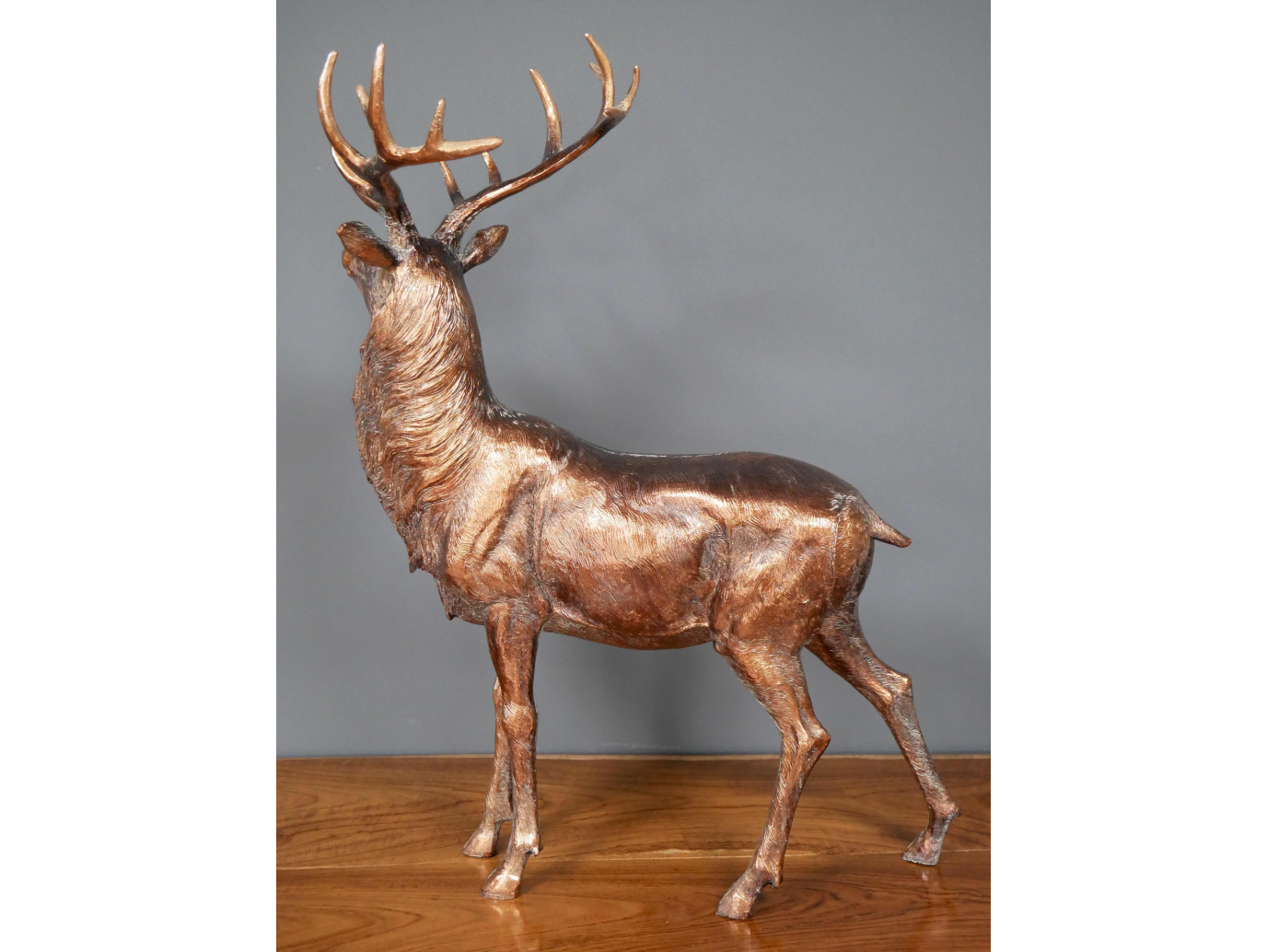 Stag