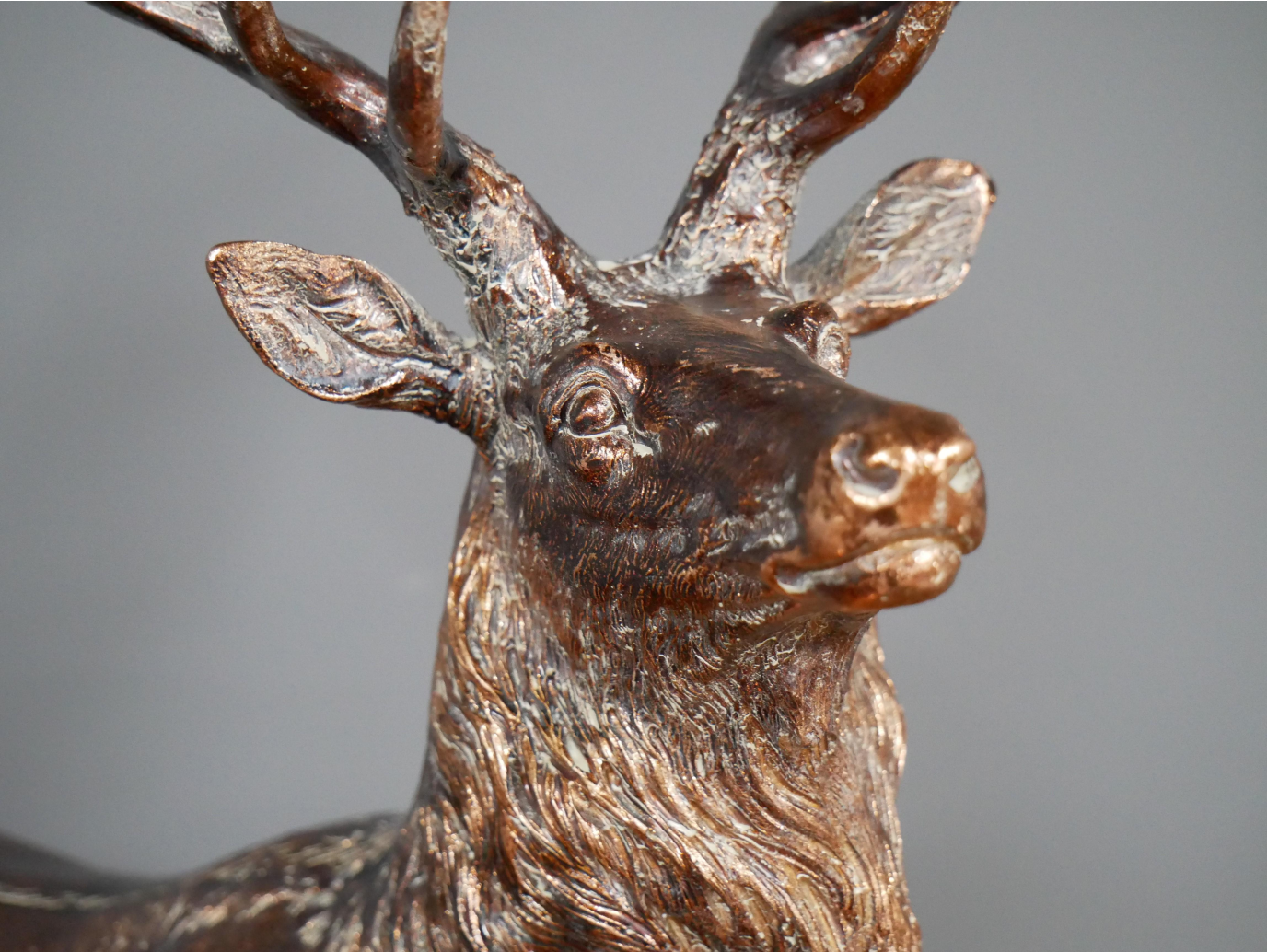 Stag
