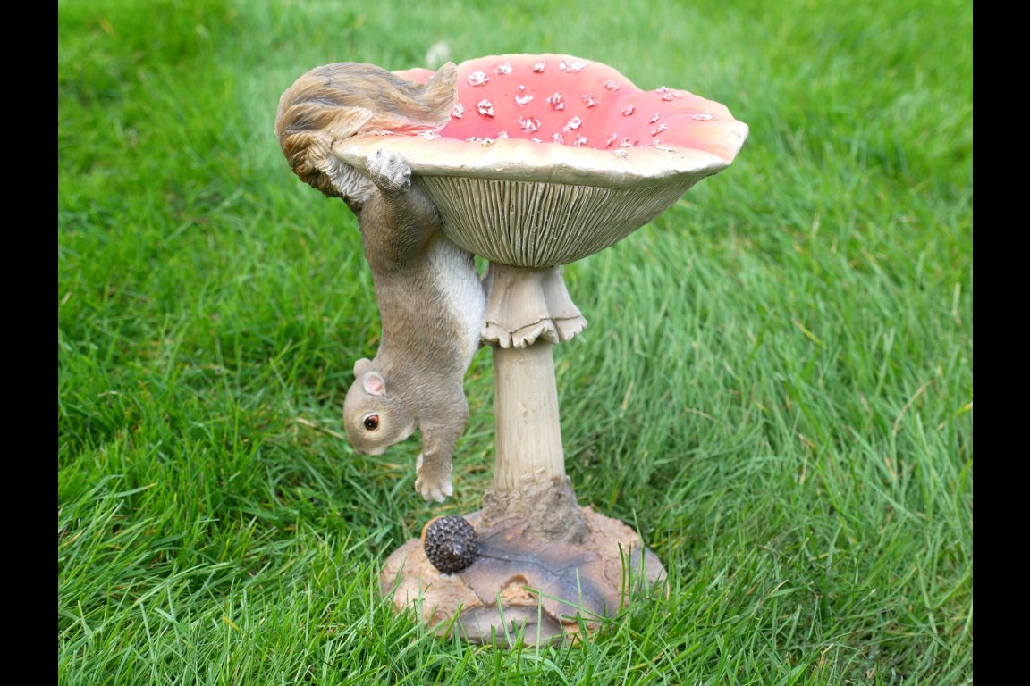 Squirrel On A Mushroom