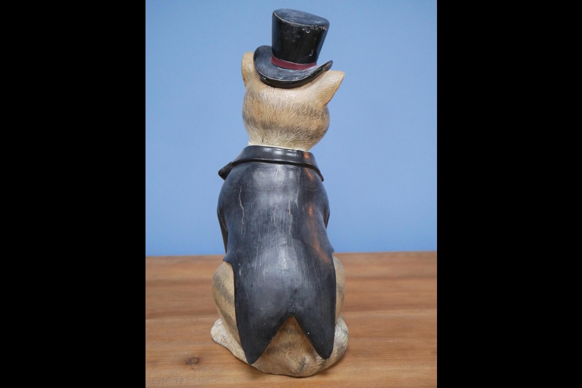 Gentleman Cat