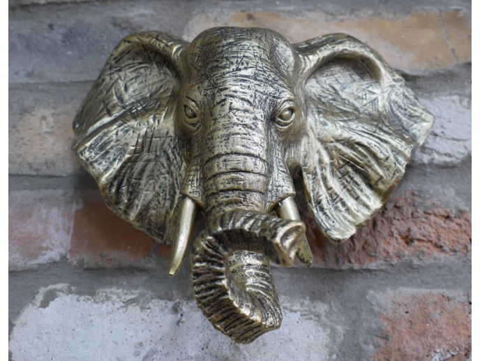 Elephant Head