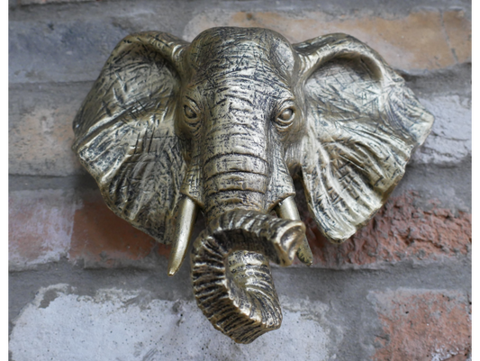 Elephant Head