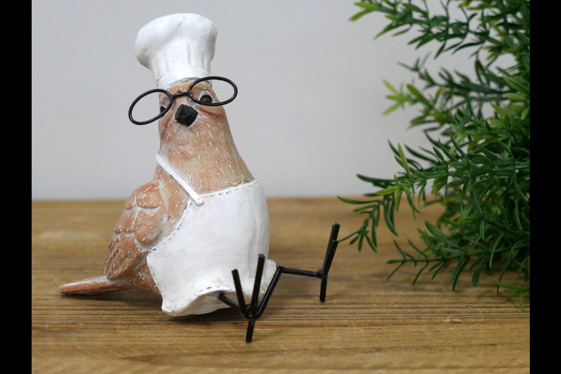 Bird Chef