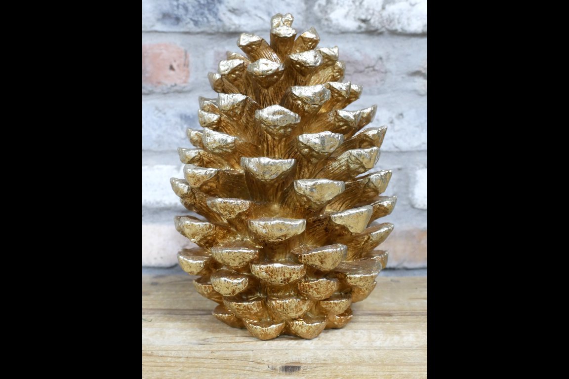 Giant Pinecone