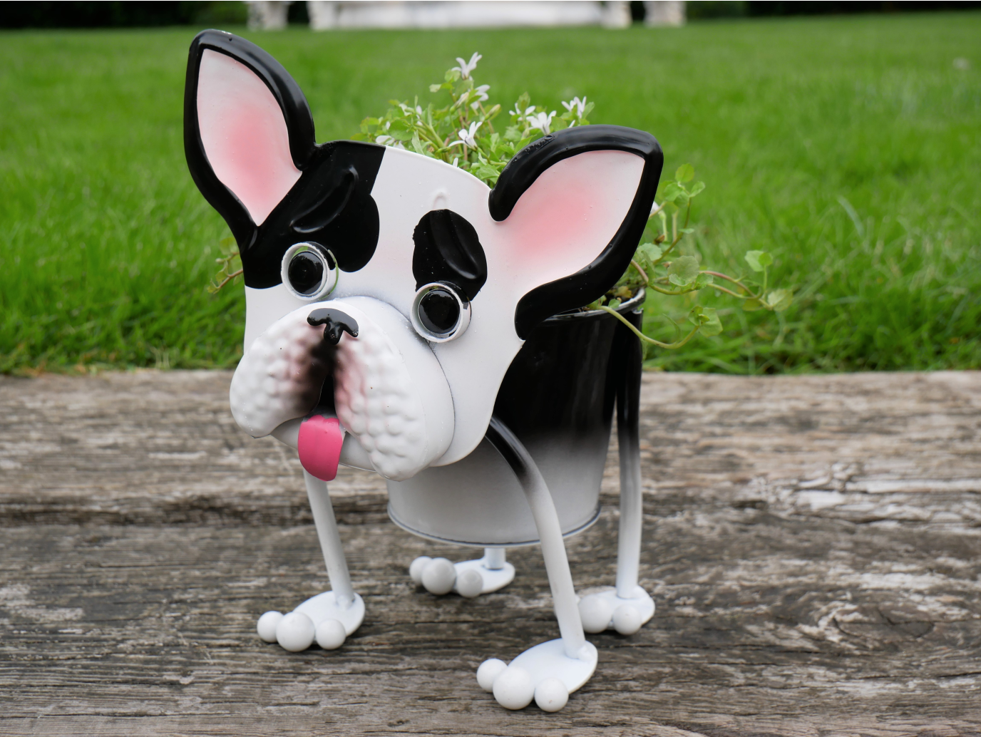 Staffy Planter
