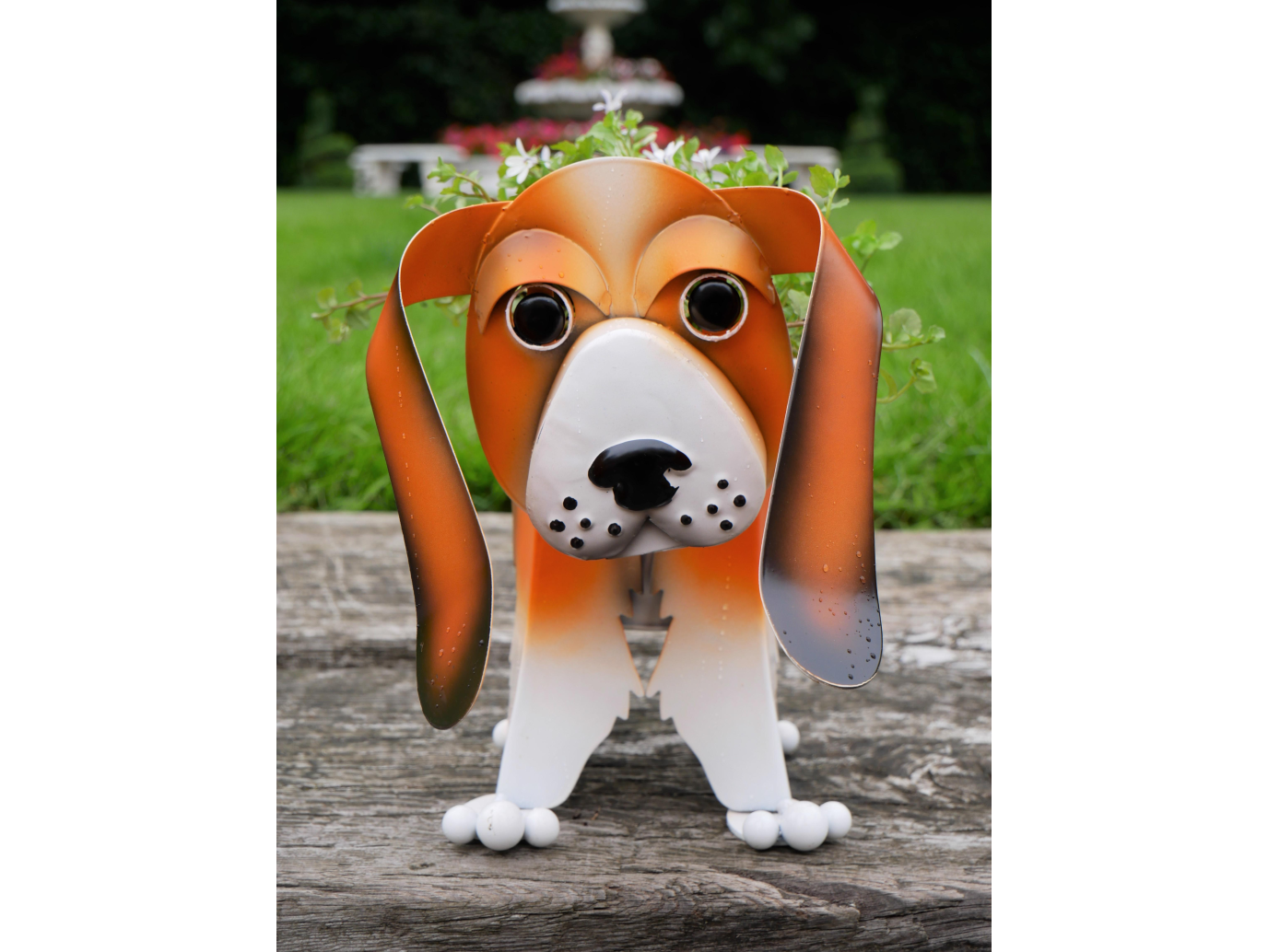 Beagle Planter