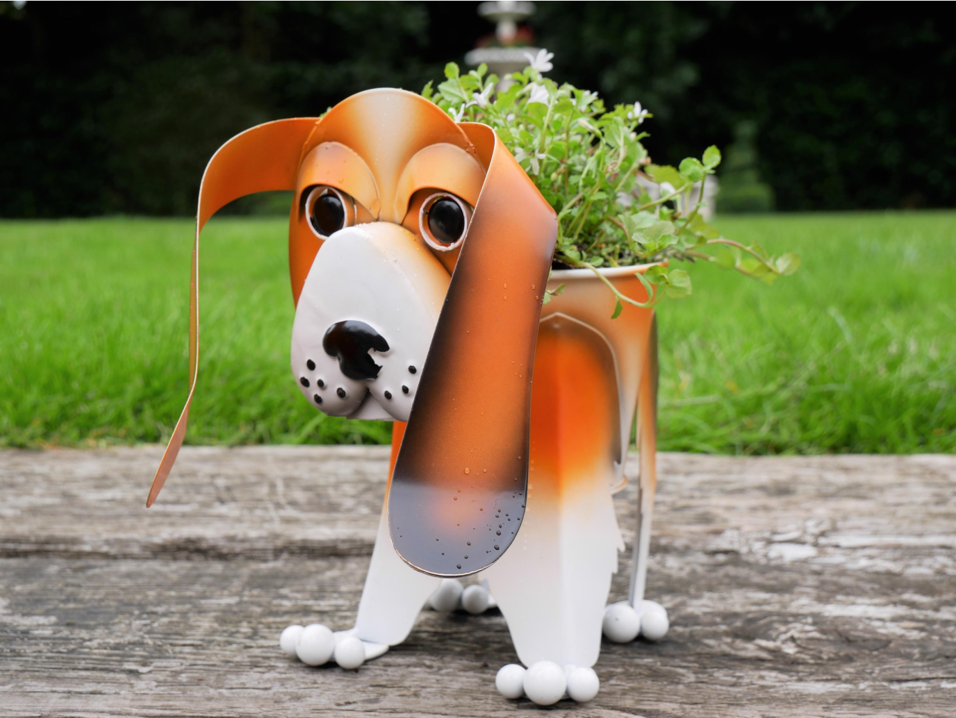 Beagle Planter