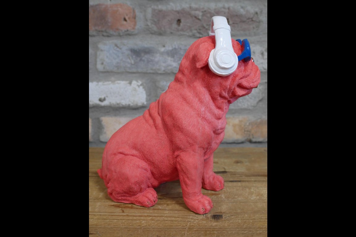 Dog With Headphones